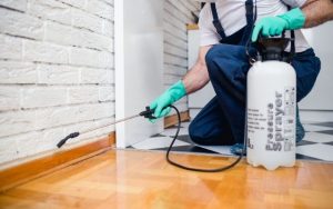 deal with infestations before tenants move in