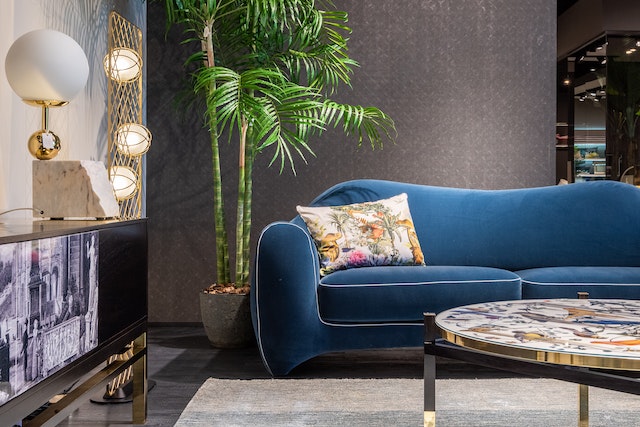 a dark accent wall with a bold blue couch in front of it